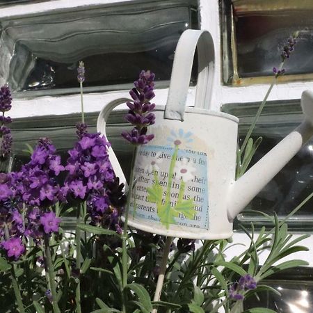 Ferienhaus Steinbach オーバーアスバッハ エクステリア 写真